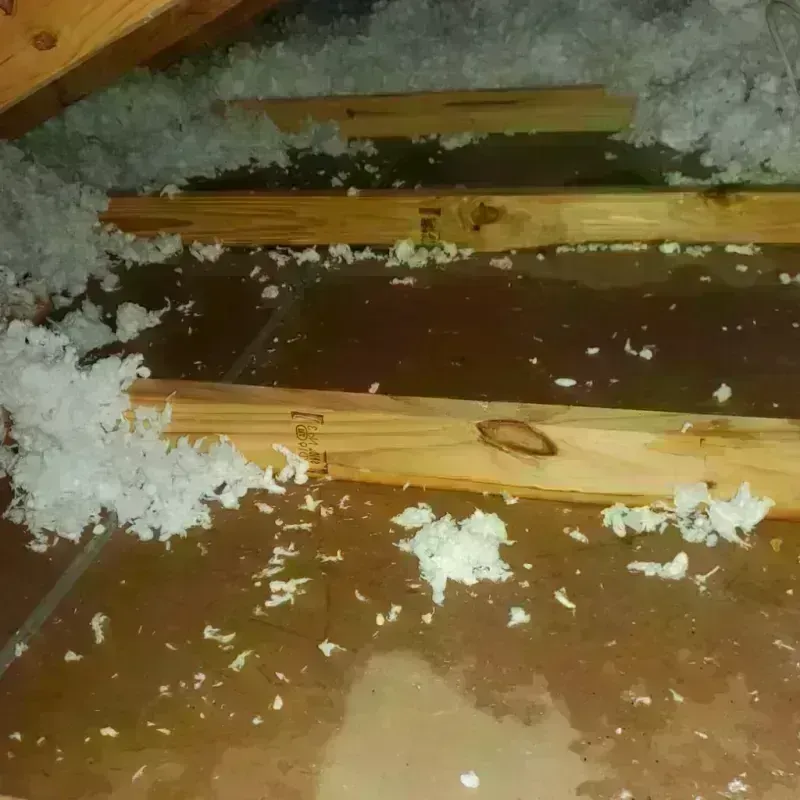 Attic Water Damage in Bayamon, PR